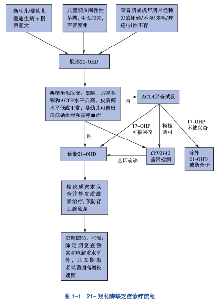 21-羟化酶缺乏症诊疗流程