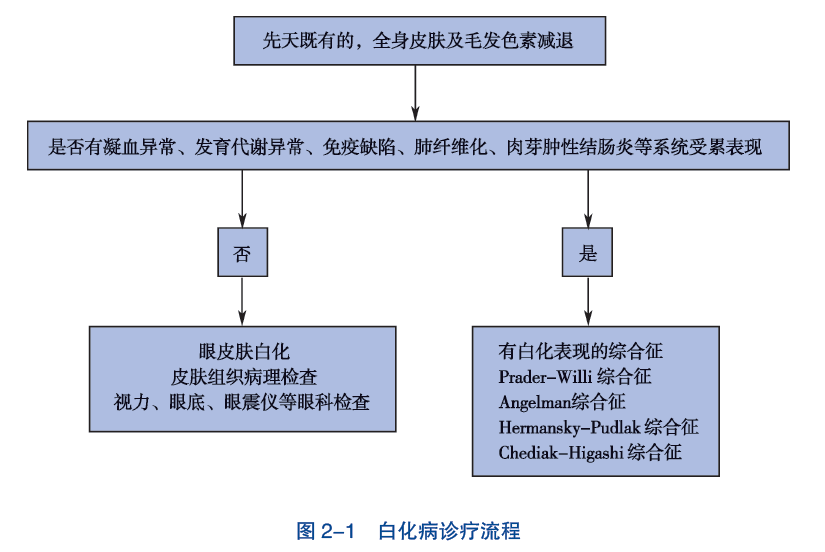 白化病诊疗流程