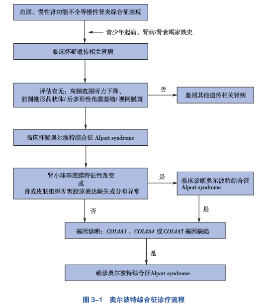 奥尔波特综合征诊疗流程