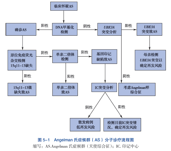 图5-1 Angelman 氏症候群（AS）分子诊疗流程图  缩写：AS.Angelman 氏症候群（天使综合征）；IC. 印记中心