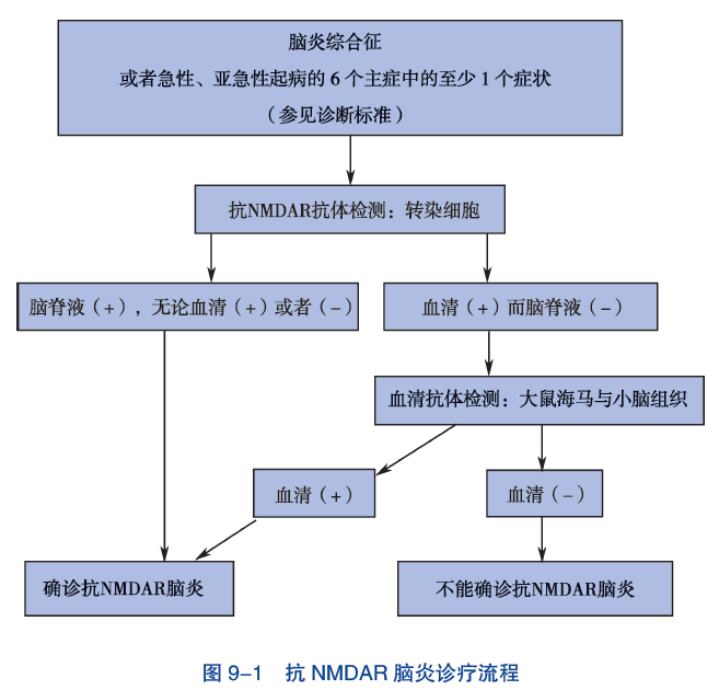 图 9-1 抗 NMDAR 脑炎诊疗流程