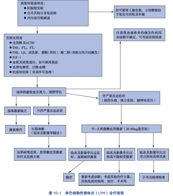 图 10-1 淋巴细胞性垂体炎（LYH）诊疗流程