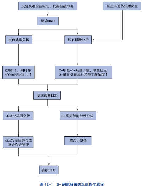 图 12-1 &beta;-酮硫解酶缺乏症诊疗流程