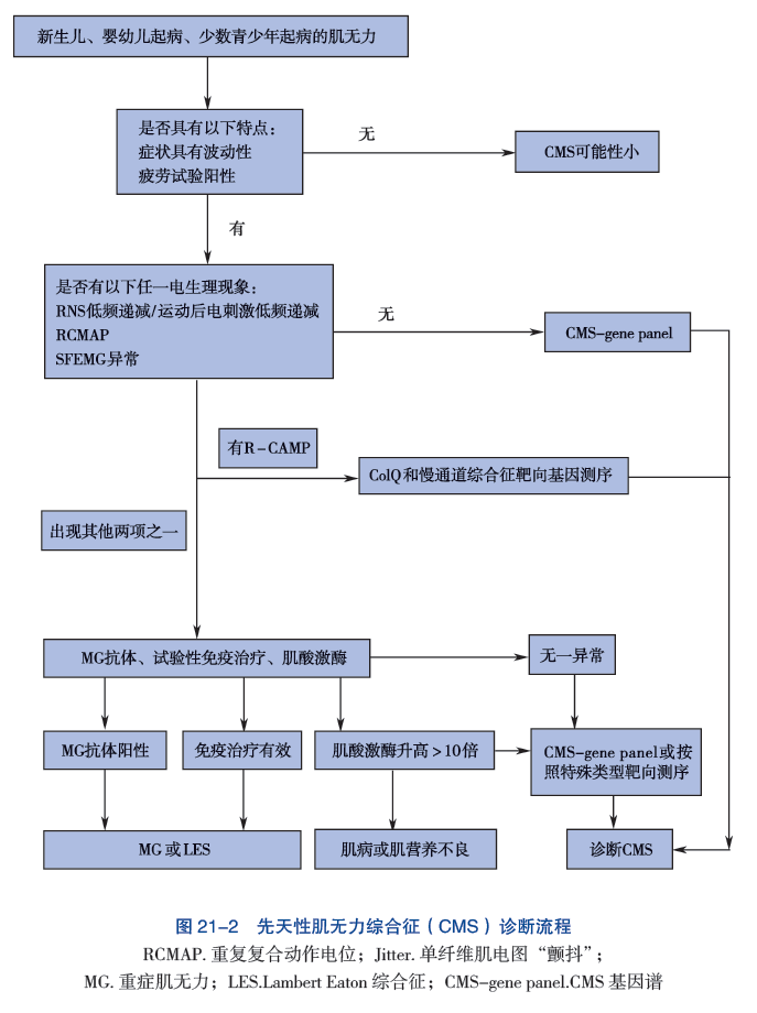 图 21-2 先天性肌无力综合征 ( CMS ) 诊断流程