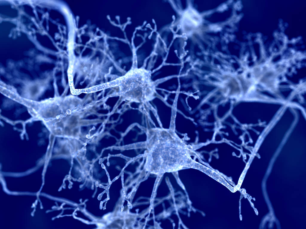 助患者实现NEDA3 ，特立氟胺中国RWS示答案